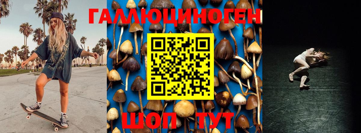 Галлюциногенные грибы прущие грибы  даркнет сайт  Белая Калитва  Вход с VPN  Псилоцибиновые грибы мицелий 